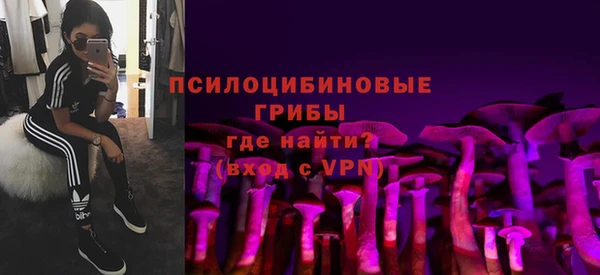 молекула духа Мегион