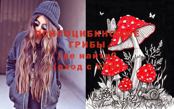 молекула духа Мегион