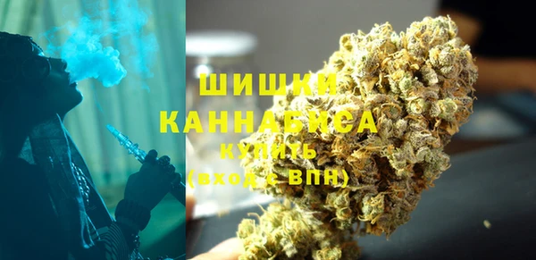молекула духа Мегион