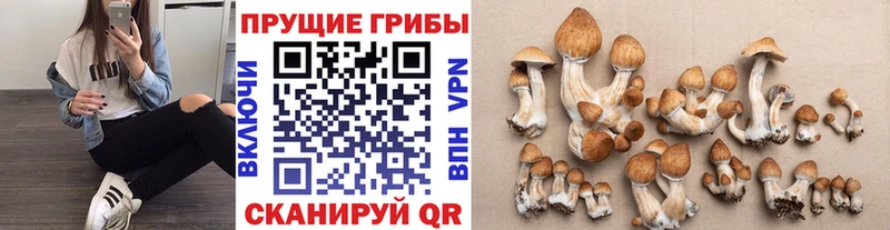 Псилоцибиновые грибы ЛСД  цены наркотик  Углегорск 